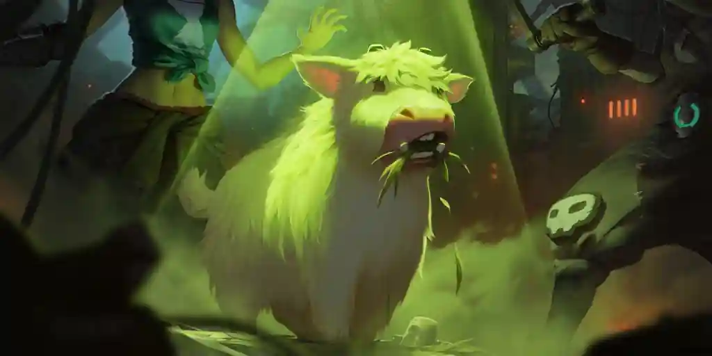 Voluntary Participant